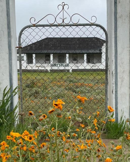 Harry'S Place Guesthouse Kamieskroon Zewnętrze zdjęcie